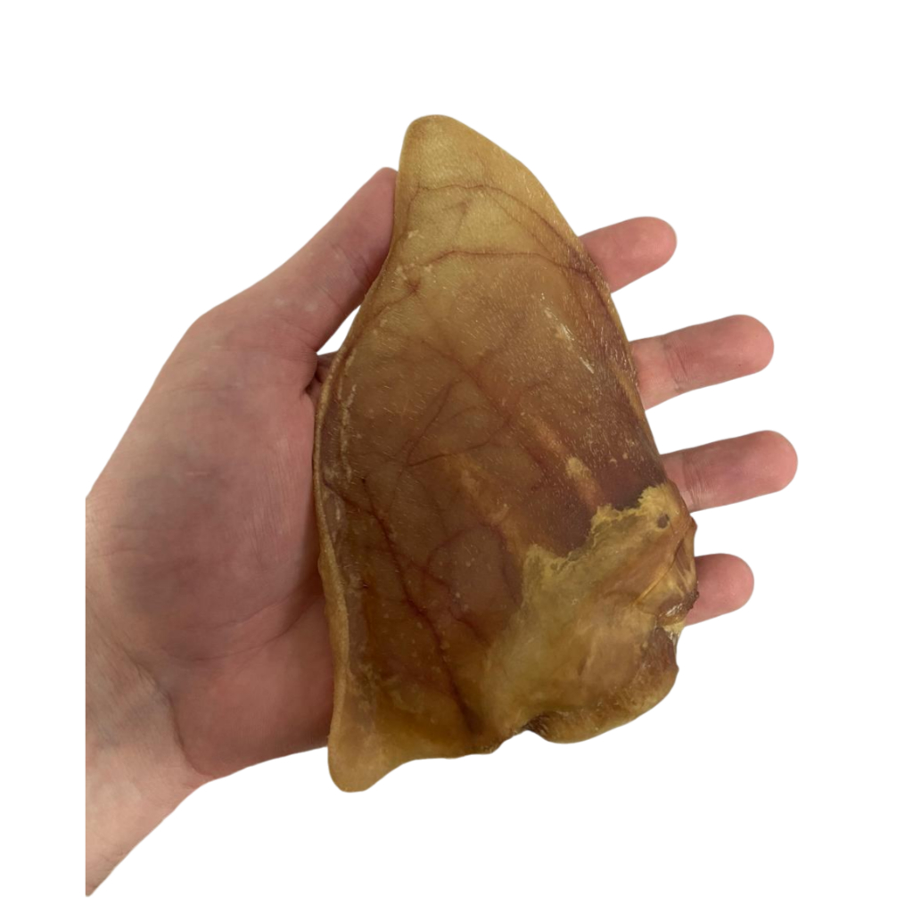 Fábrica Ração Animal: Onde Comprar | BuscaProdutos