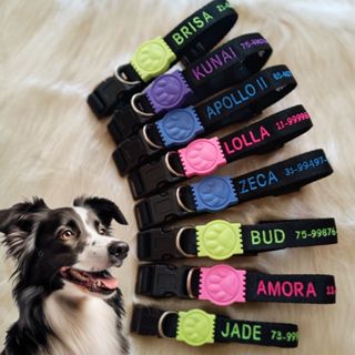 Coleira para Cachorro com Nome e telefone Personalizada Bordado Acessórios para o Pescoço Colar de Identificação Pet em Oferta na Shopee