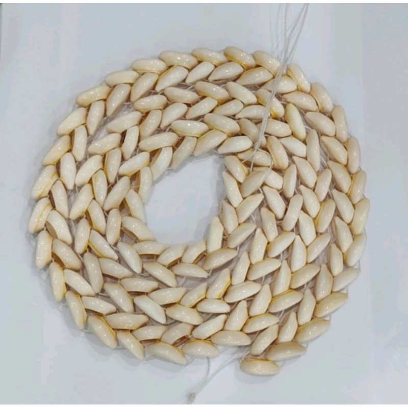 Braja de Buzios: Onde Comprar | BuscaProdutos