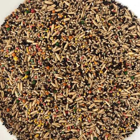 Mistura para Canário de qualidade 1KG ENVIO RÁPIDO