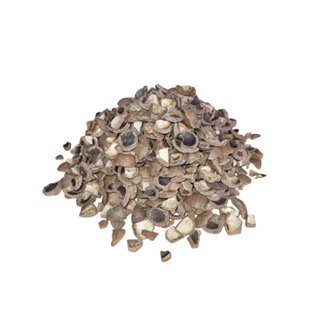 10kg Casca de Macadâmia substrato para Orquídeas em Oferta na Shopee