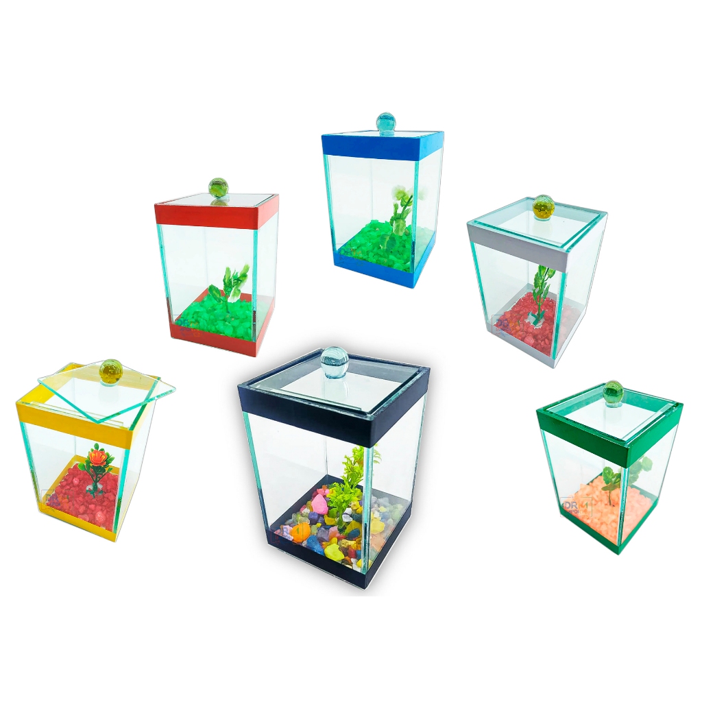 kit 6 Beteira Aquário Bettas Decorado com enfeite 9X9X14cm em Oferta na Shopee