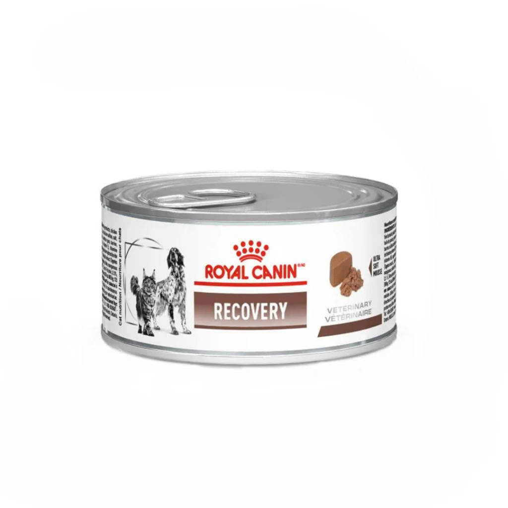 Ração Úmida Royal Canin Veterinary Diet Recovery para Cães e Gatos - 195 g em Oferta na Shopee