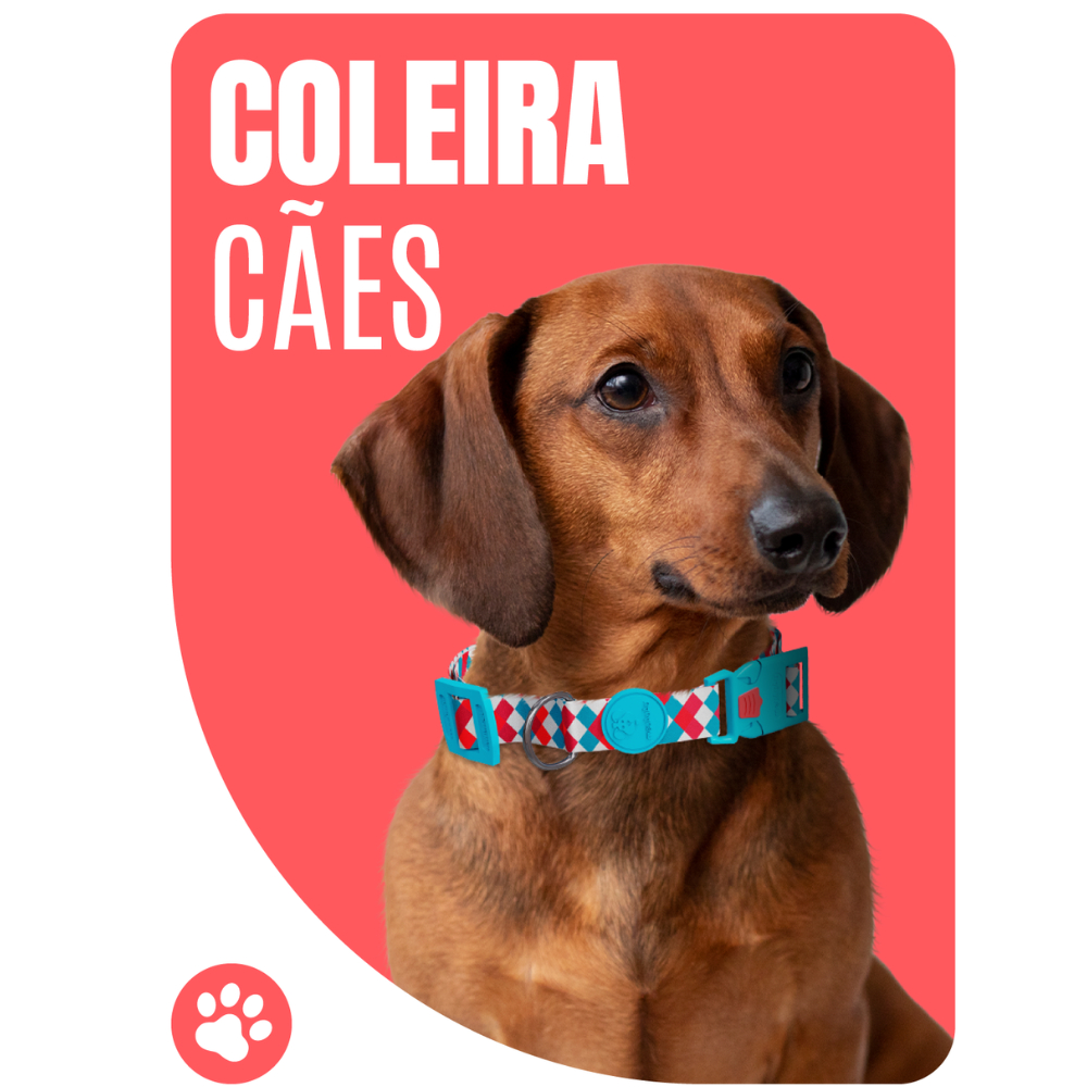 Focinheira Bulldog Frances - Comprar com Melhor Preço em Acessórios para Animais de Estimação