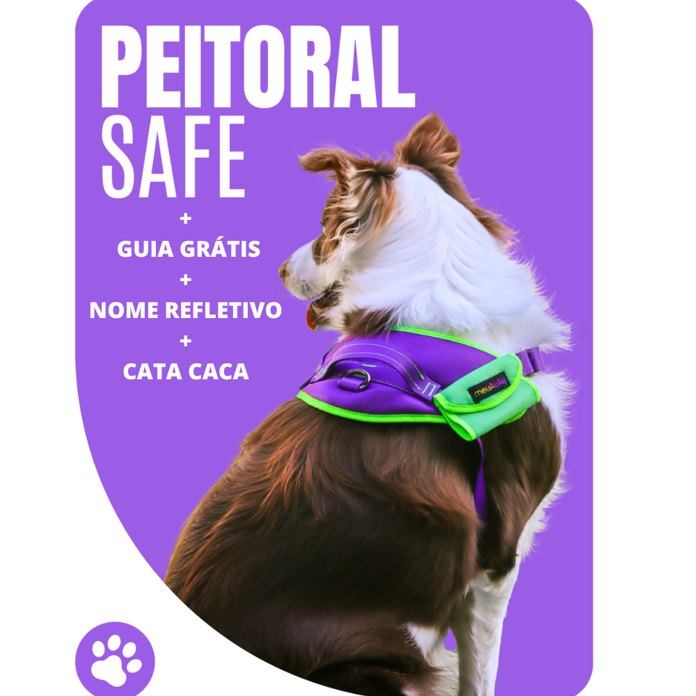 Coleira Peitoral 4 em 1 Peitoral + Guia Grátis  + Cata Caca + Nome Personalizado