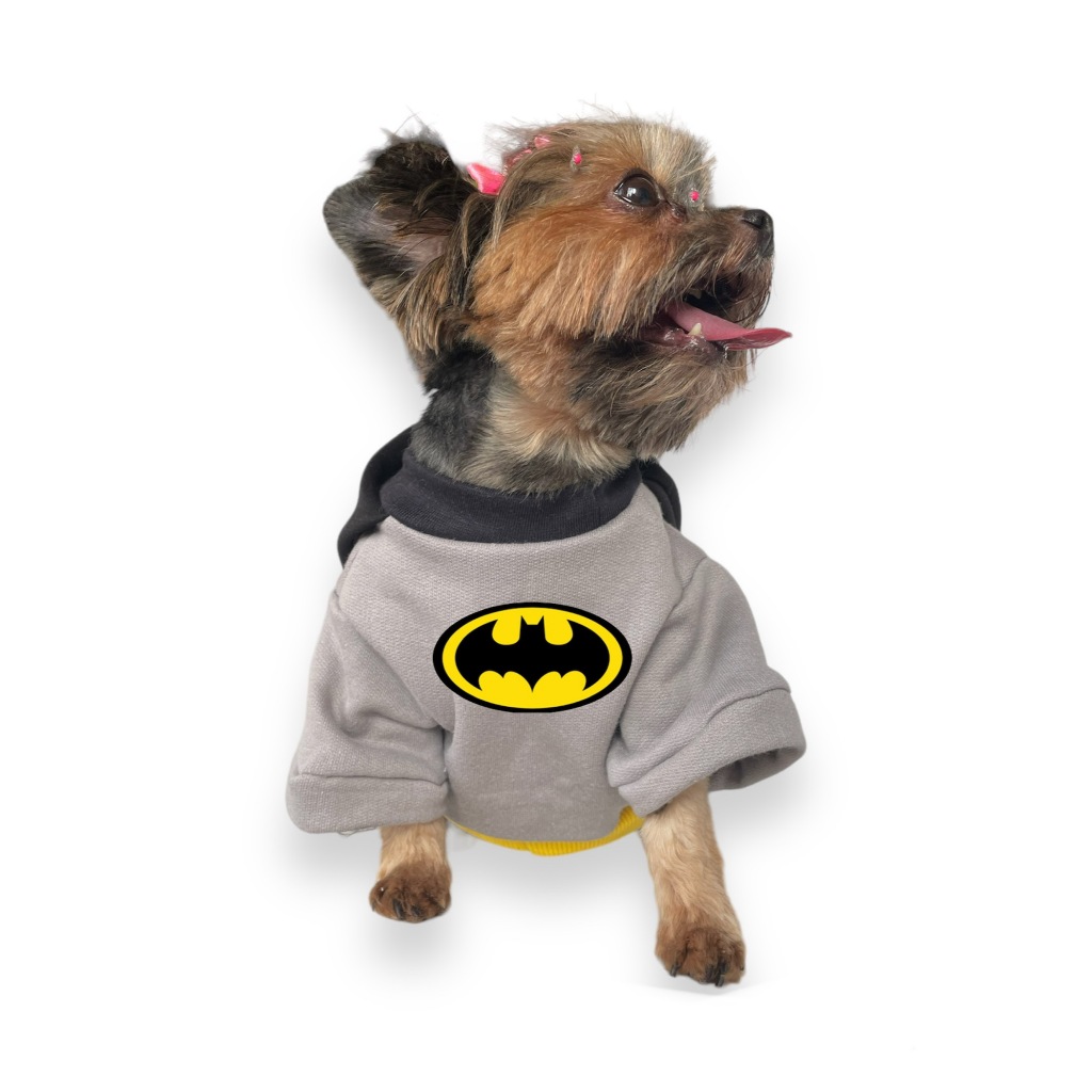 Roupa Pet Batman Robin Batgirl Moleton Capa herois Vintage Cachorro Gato Personagem Inverno fantasia Coringa