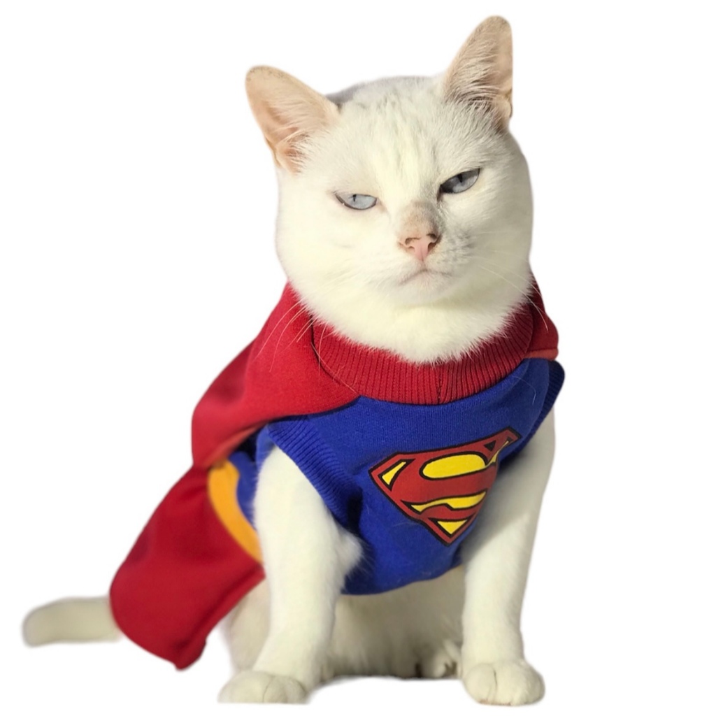Roupa Pet Fantasia Liga da Justiça Moleton Super man girl Bat man men Mulher Maravilha Flash Lanterna Verde