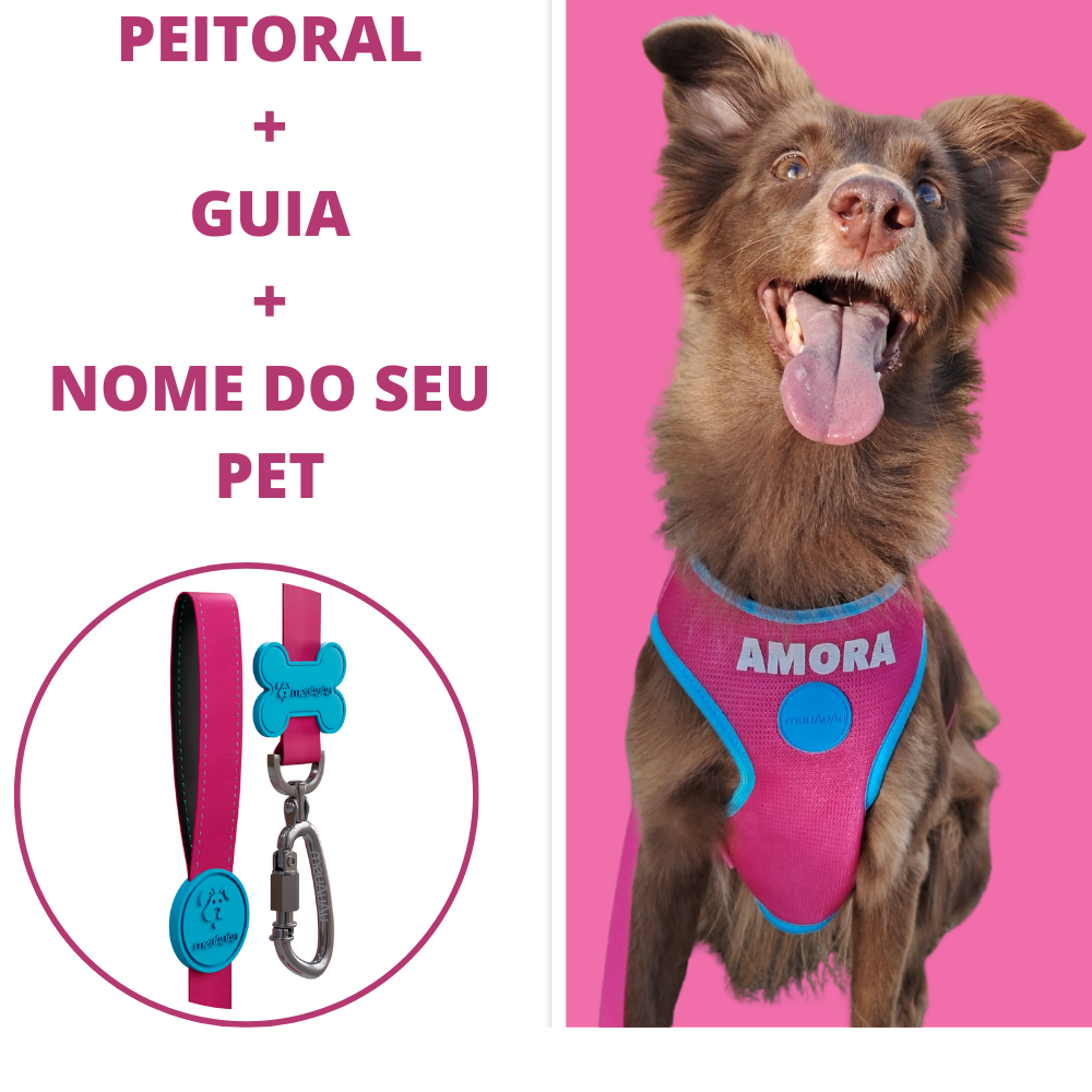 Peitoral Mesh + GUIA  + NOME PERSONALIZADO - 3 Em UM - Todos Tamanhos - Todas As Raças