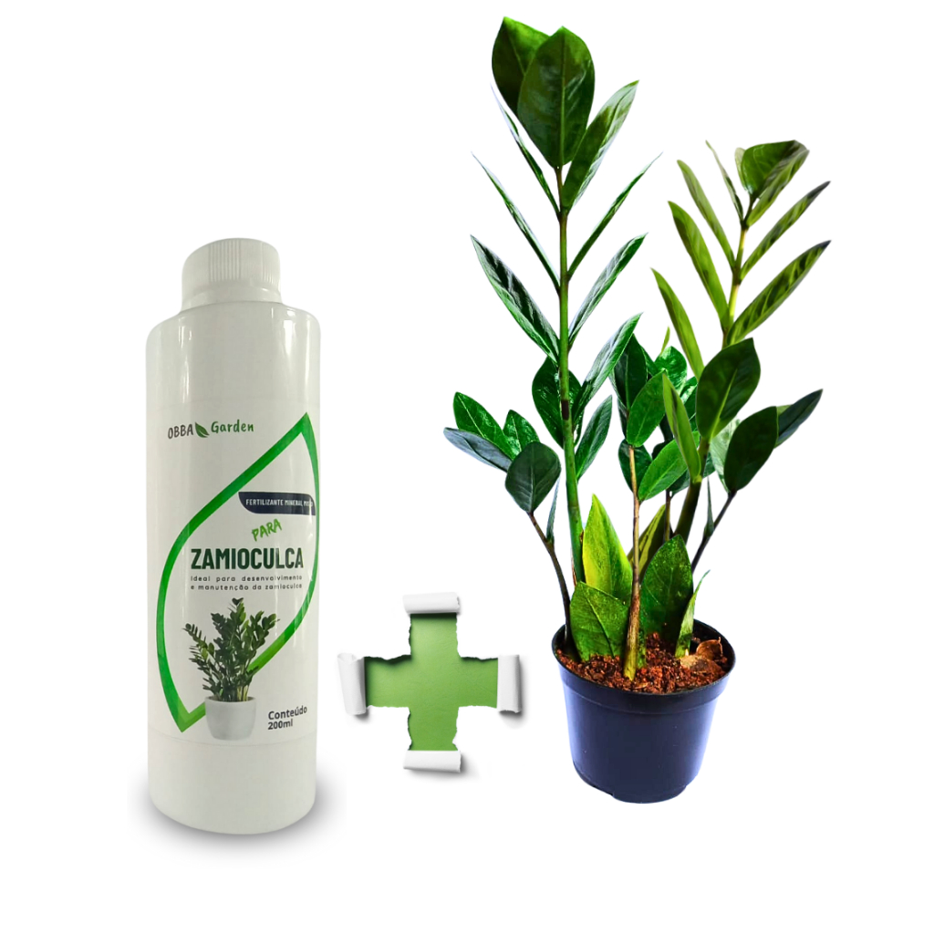 Adubo para Zamioculca de 200ml Mais força e Vigor + Zamioculca de Brinde
