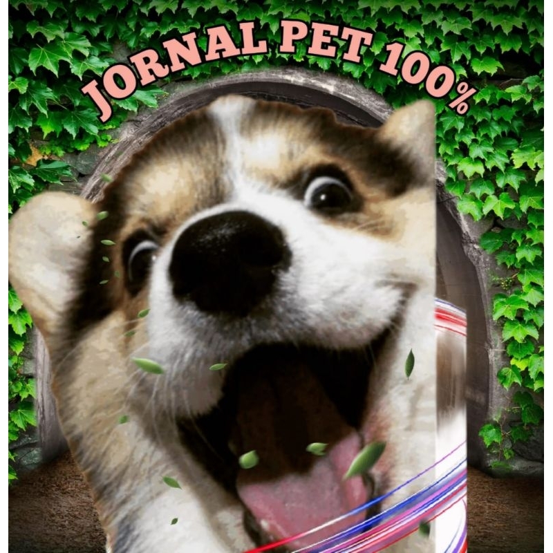 PAPEL JORNAL PET TAMANHO EXTRAORDINÁRIO 66X96 FABRICAÇÃO PRÓPRIA.