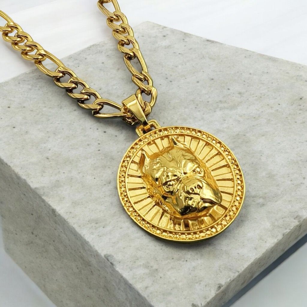 Cordão + Pulseira Colar Corrente Masculino de Aço com Pingente de Cachorro Pitbull
