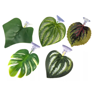 Folha De Descanso - Cama Para Peixe Betta - Lester em Oferta na Shopee