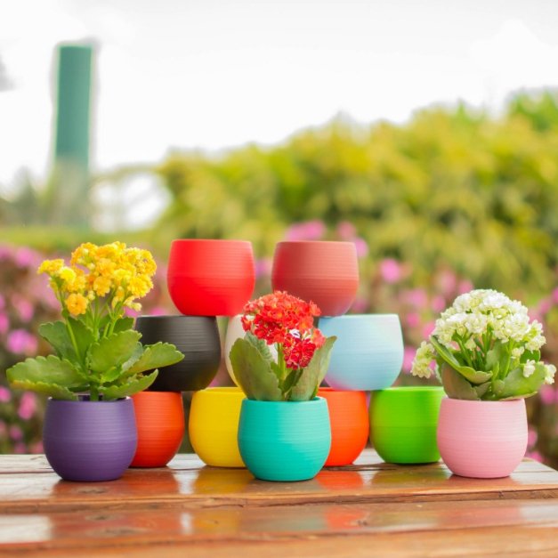 Kit 2 UN Vaso Decorativo Babyball Autoirrigável E Anti-dengue