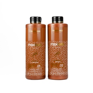 Kit Alisamento Tratamento Max Bela Progressiva 1L Tree Liss em Oferta na Shopee