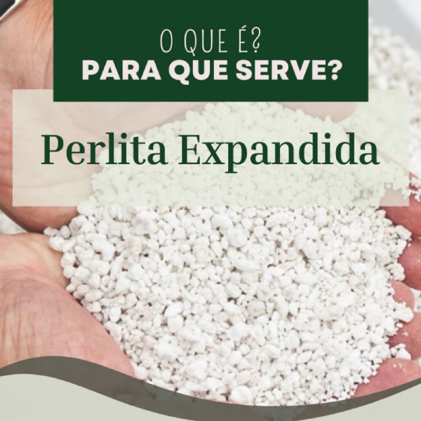 Perlita expandida grossa premium para substrato em Oferta na Shopee