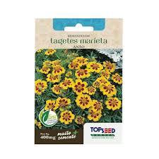 Kit c/ 5 envelopes Semente de Tagetes Anão Marieta 400mg TOPSEED