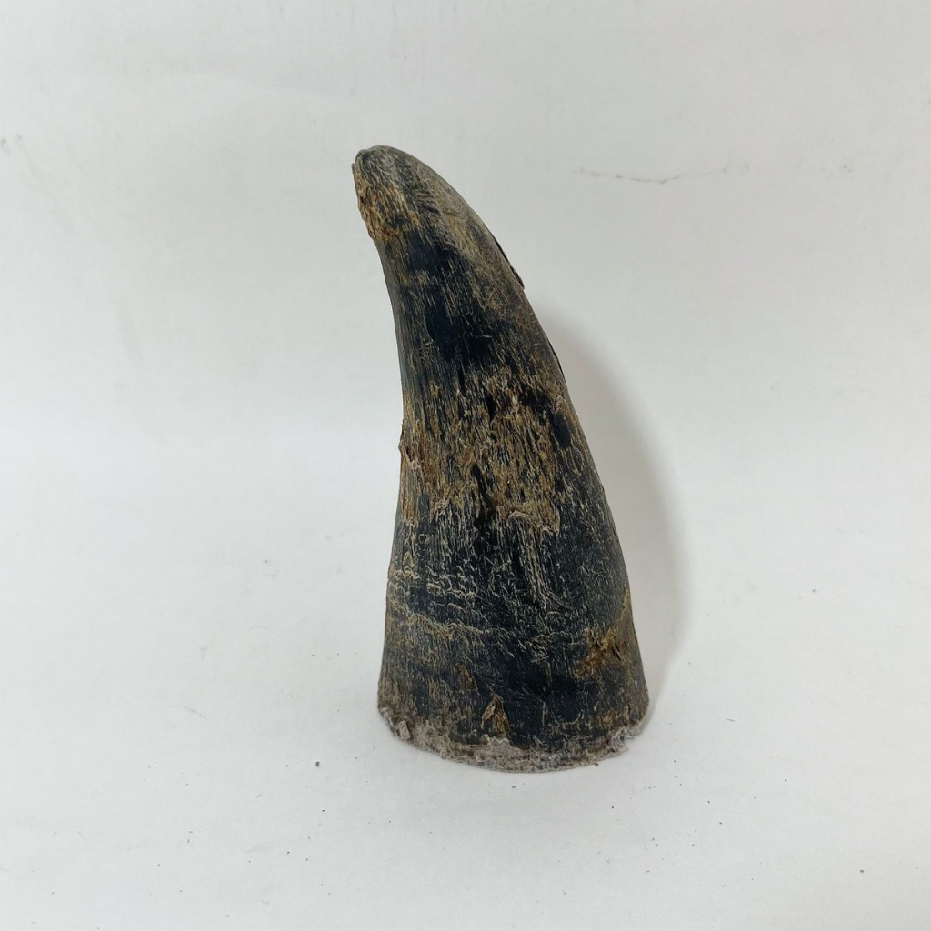 Mordedor Chifre Bovino Para Cães Petisco em Oferta na Shopee