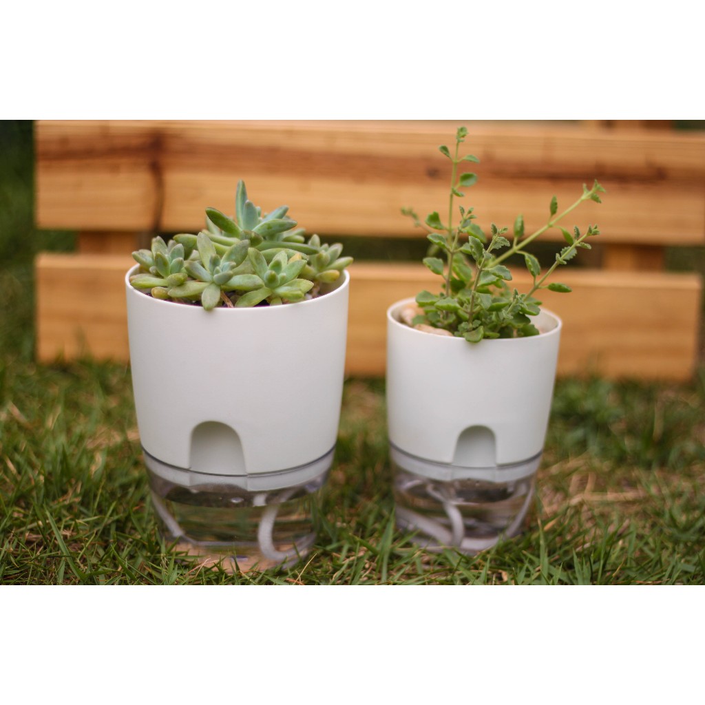 Vaso Auto Irrigável 2/ 4/ 6 Peças - Decorativo Auto Irrigável - Tamanho Pequeno