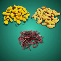 Kit 30 Isca Artificial Minhoca Milho Larva Bichinho de Laranja Aromatizados com Anzol Silicone Soft