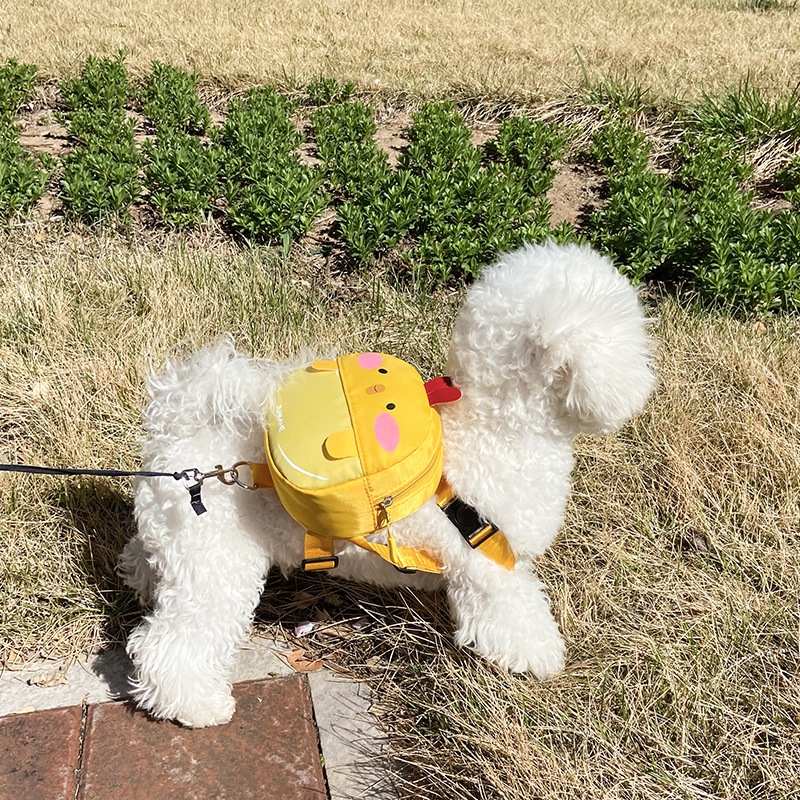 Mochila Pet Para Cachorro Cães Gatos Coleira Peitoral COM GUIA Mini Saco De Ombro Bolsa024-118 em Oferta na Shopee