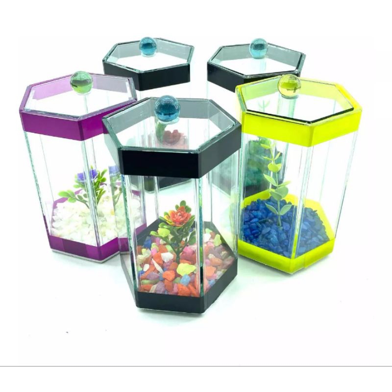 aquário beteiras para lembrancinhas de aniversário em sextavado 1litro kit com 5 und em Oferta na Shopee