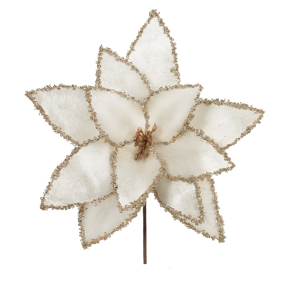 Flor De Natal Bico De Papagaio Aveludado Champagne