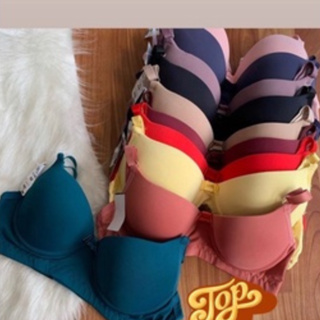 Sutiã Solteirinho Básico Reforçado de Microfibra Com Bojo do P ao GG PROMOÇÃO em Oferta na Shopee