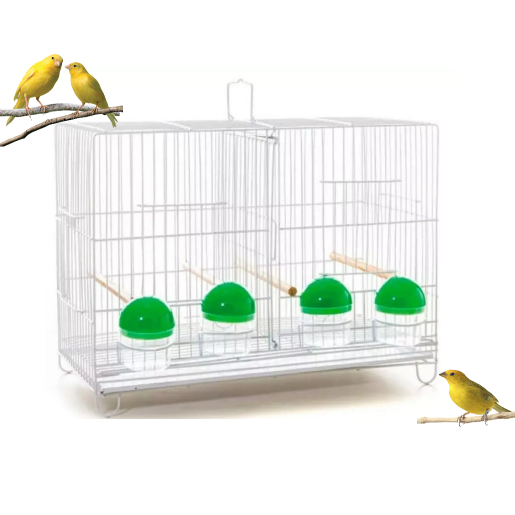 Gaiola Criadeira Canario Coleiro 4 Comedouros com Divisória  pintura Branca Pássaros G004