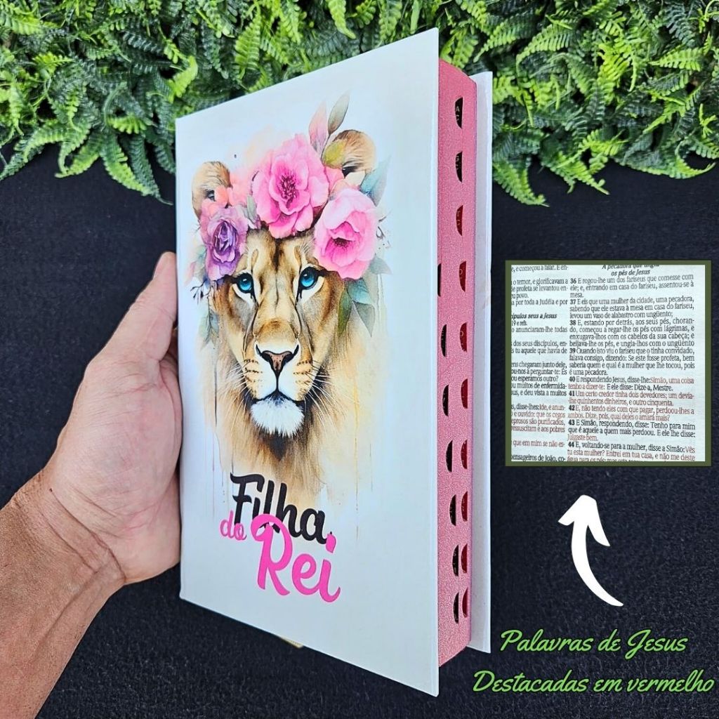 Bíblia Sagrada Feminina Filha do Rei LETRAS MÉDIAS Com Harpa e Índice Palavras de Jesus destacadas em Vermelho Capa Dura