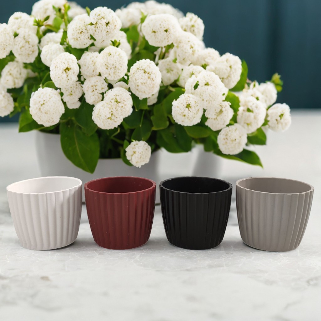 Kit Mini Vasos Cachepôs Squash para Plantas Suculentas Decorativos de Plástico Injetado 5x6