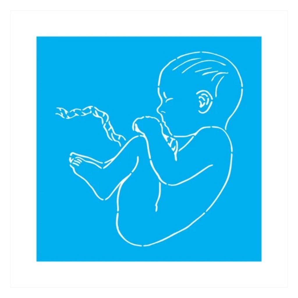 Stencil Para Pintura Gestacional, Molde De Pintura 30cm x 30cm BLACK FRIDAY