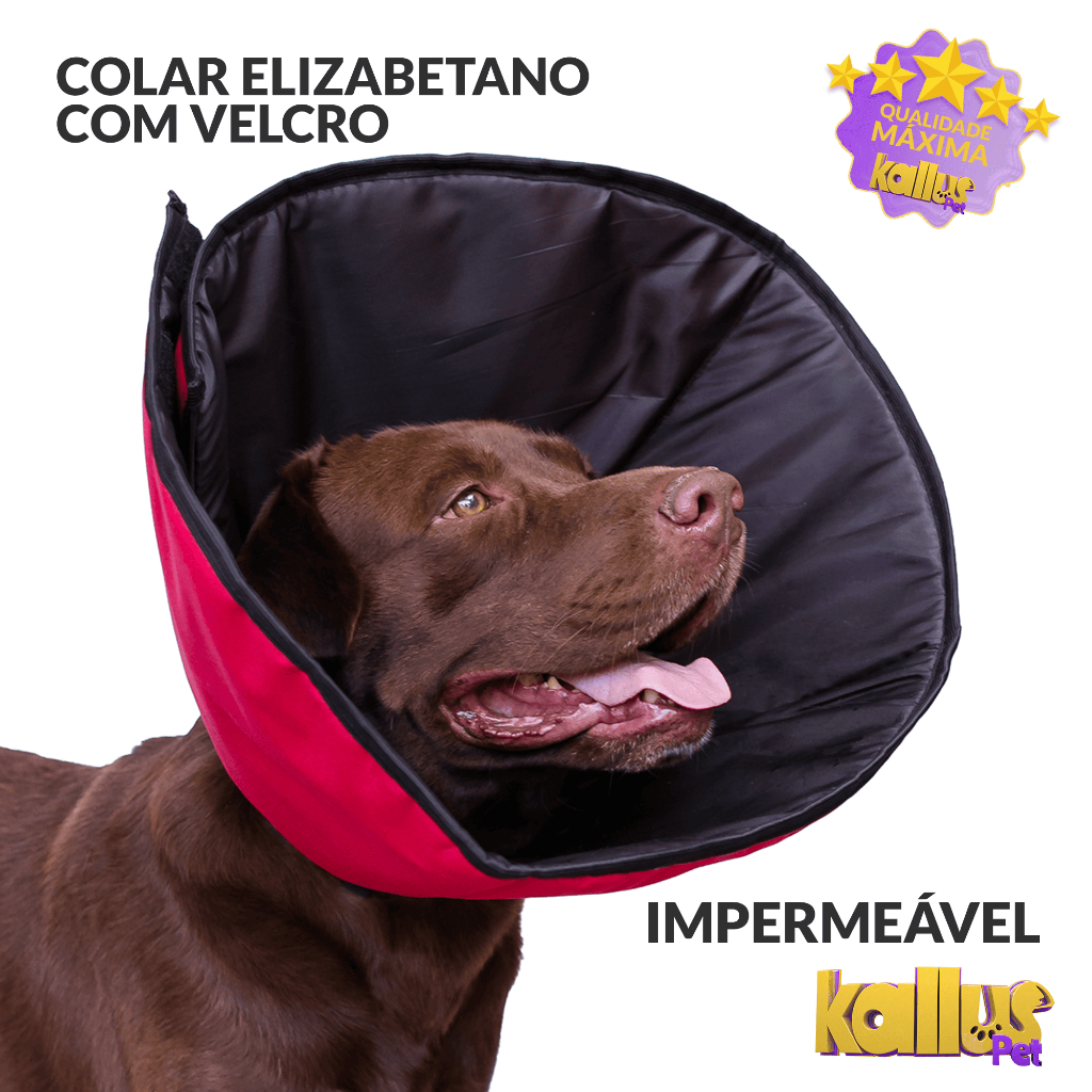 Colar Cirúrgico Cone Elizabetano Gatos E Cães Confortável Todos os Tamanhos Impermeável