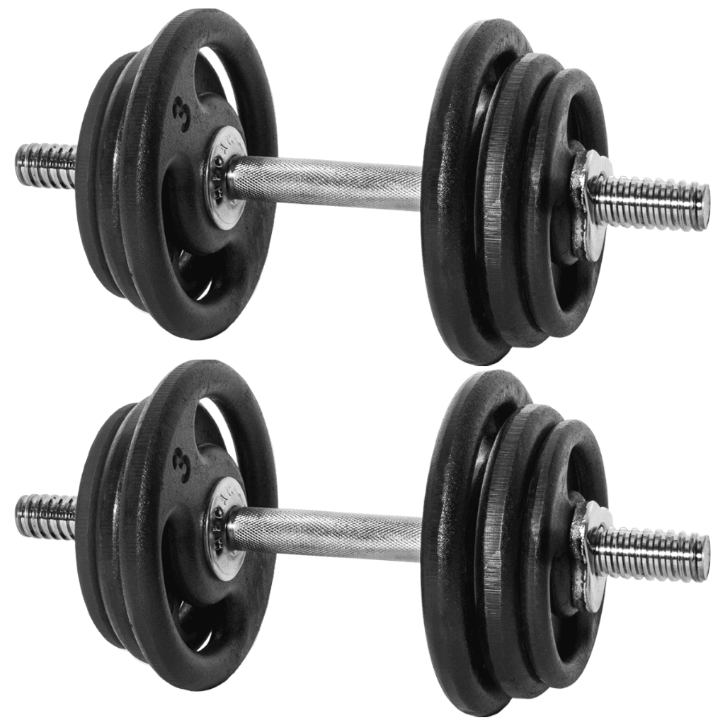 Kit Par De Halteres Barra Rosca 40cm + 24Kg De Anilhas De Academia Parta Musculação Peso Academia