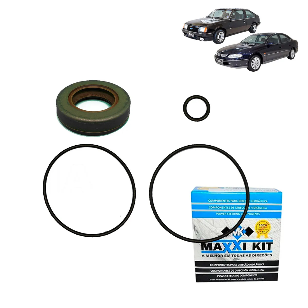 Reparo Bomba Direção Hidráulica Chevrolet Monza Antigo / Omega Australiano