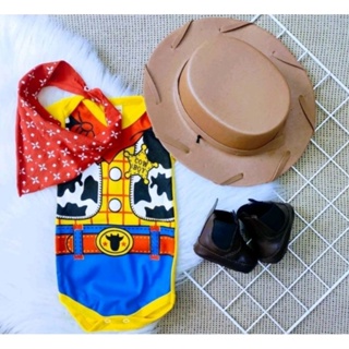 kit mesversario woody xerife toy story para bebê do P ao G, fantasia, festa. em Oferta na Shopee