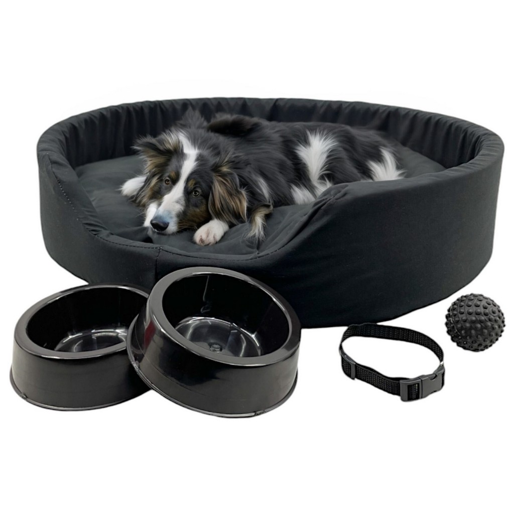 Kit Pet Grande Cama Europa Potes Água Ração Coleira Bolinha