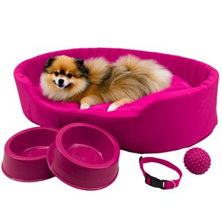 Kit Pet Pequeno Cama Europa Potes Água Ração Coleira Bolinha em Oferta na Shopee