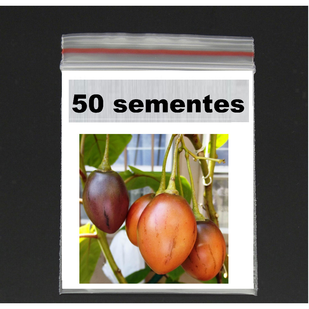 50 sementes tomarillo,tomate de árvore ,frescas em Oferta na Shopee