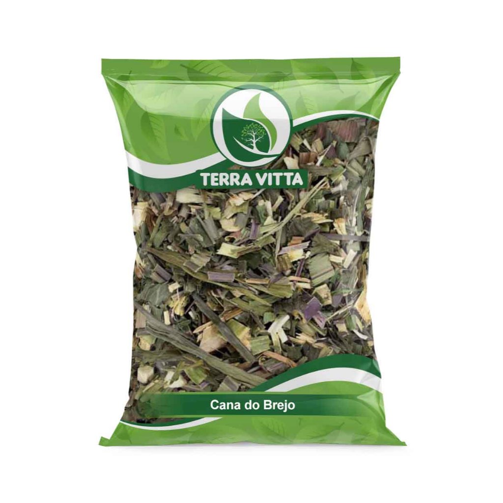 Cana do Brejo 1Kg - Planta alimenticia