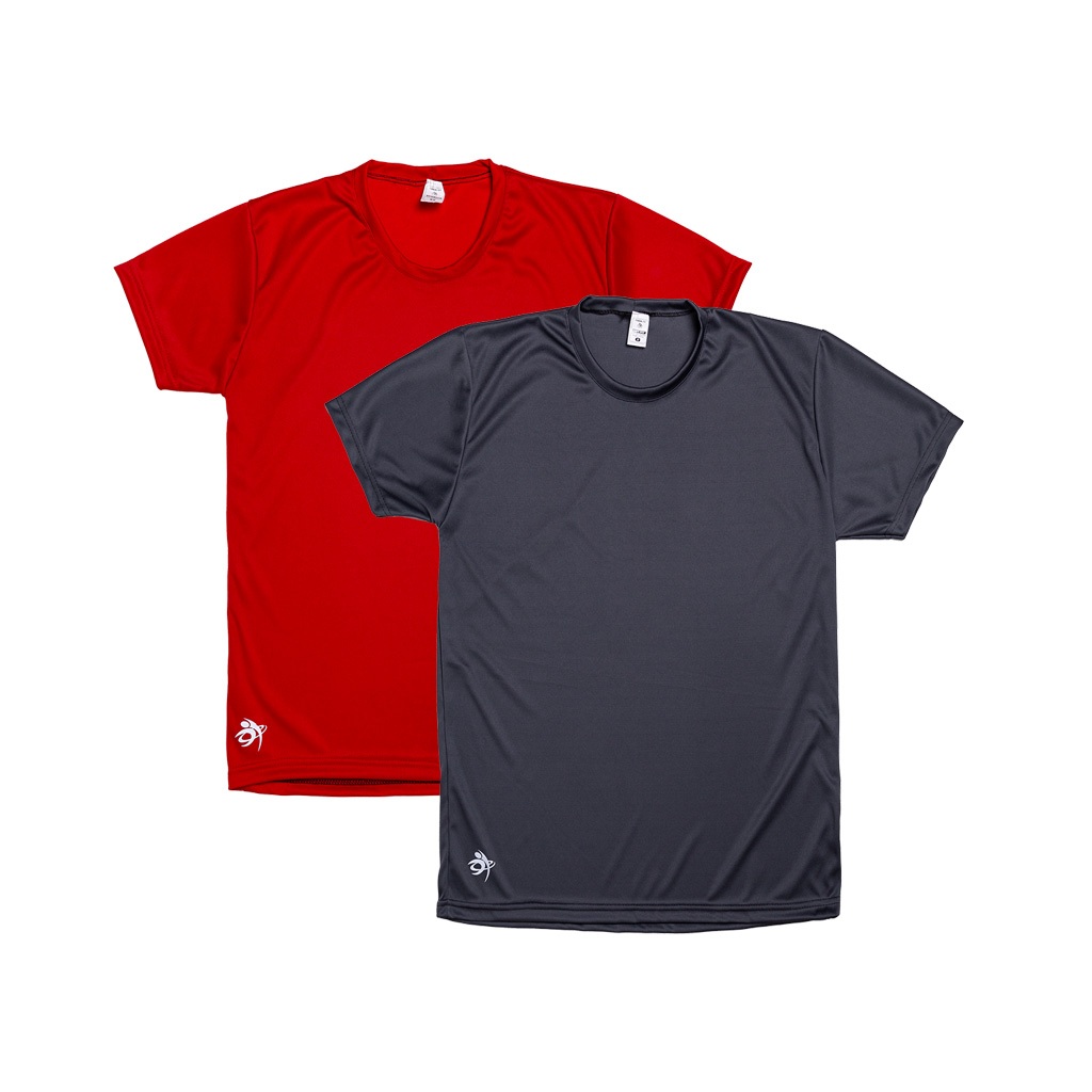 Kit 2 Camisetas Dry Fit Masculina Casual- Treino - Academia - Esportes - Exercícios  - Futebol