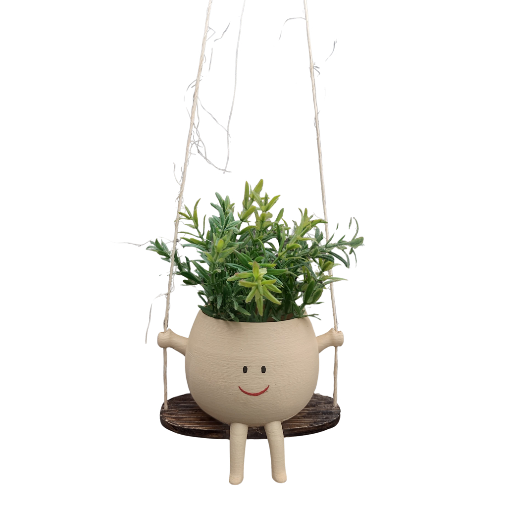 Lindo Vaso no Balanço para Suculentas