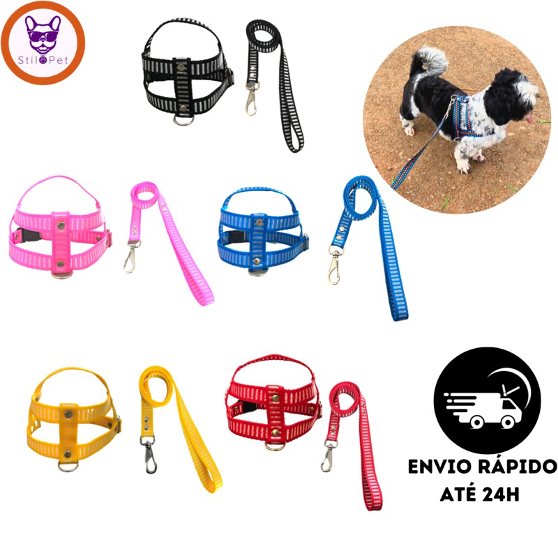 Guia para Cachorro Raças Pequenas: Onde Comprar | BuscaProdutos