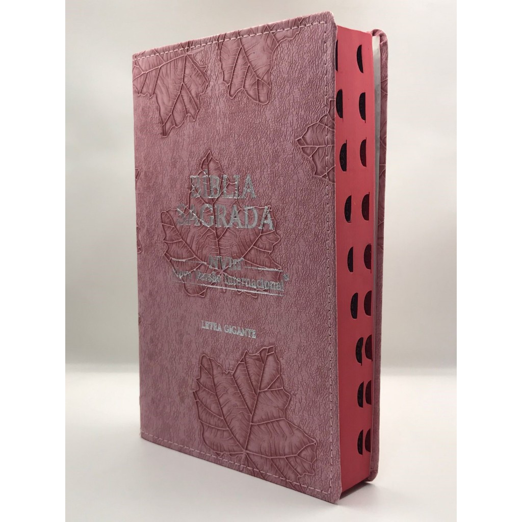 Bíblia Sagrada Letra Gigante NVI Capa Flexível Folha Rosa em Oferta na Shopee