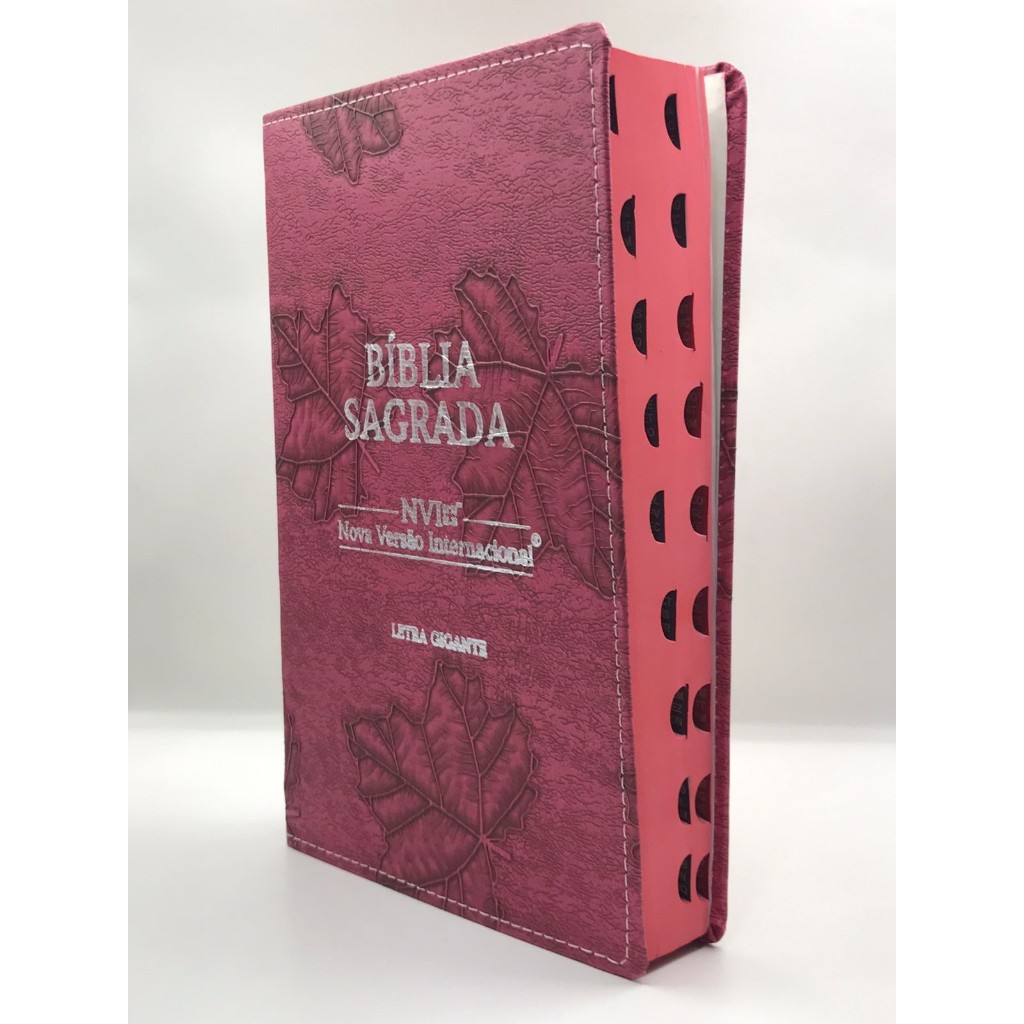 Bíblia Sagrada Letra Gigante NVI Capa Flexível Folha Pink em Oferta na Shopee