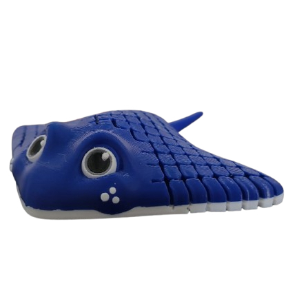 Arraia Manta: Guia Completo e Onde Comprar | BuscaProdutos