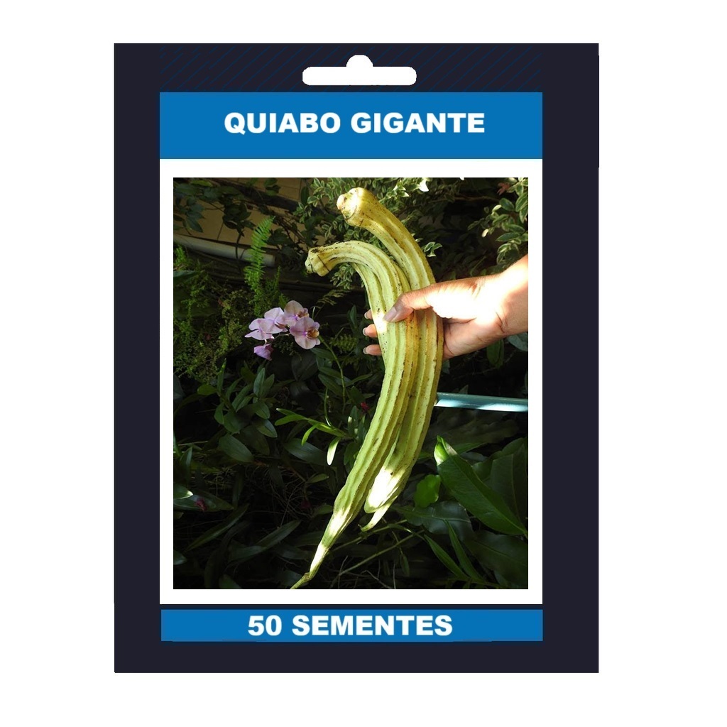 50 Semente Quiabo Big Gigante Cm 45 Até em Oferta na Shopee