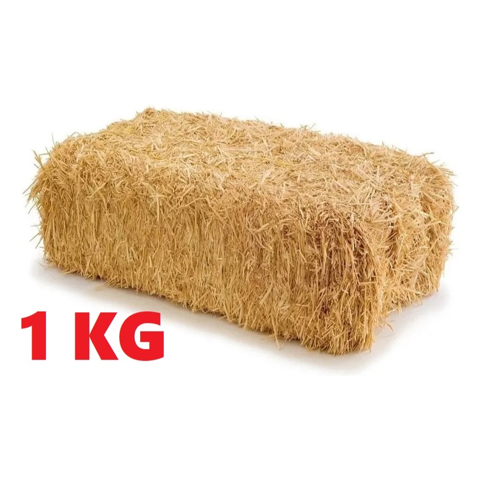 1 kg palha de madeira natural pinus decoração proteção enfeite em Oferta na Shopee