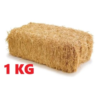 Palha Natural Para Cesta e Decoração - Pacote de Palha 1kg | Presente - Café da manhã