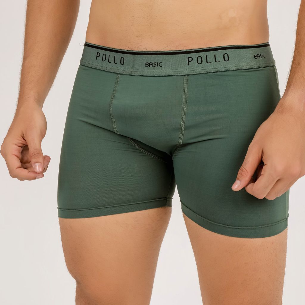 Kit 2 Cueca Boxer Box Pollo Adulto Poliamida Conforto Qualidade