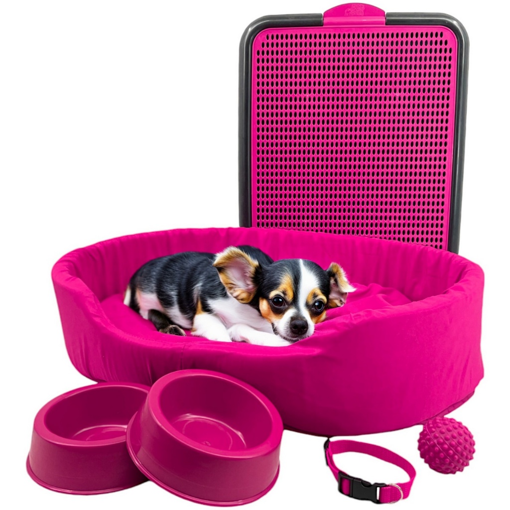 Kit Pet Pequeno Cama Europa Sanitário Comedouro Coleira Bola